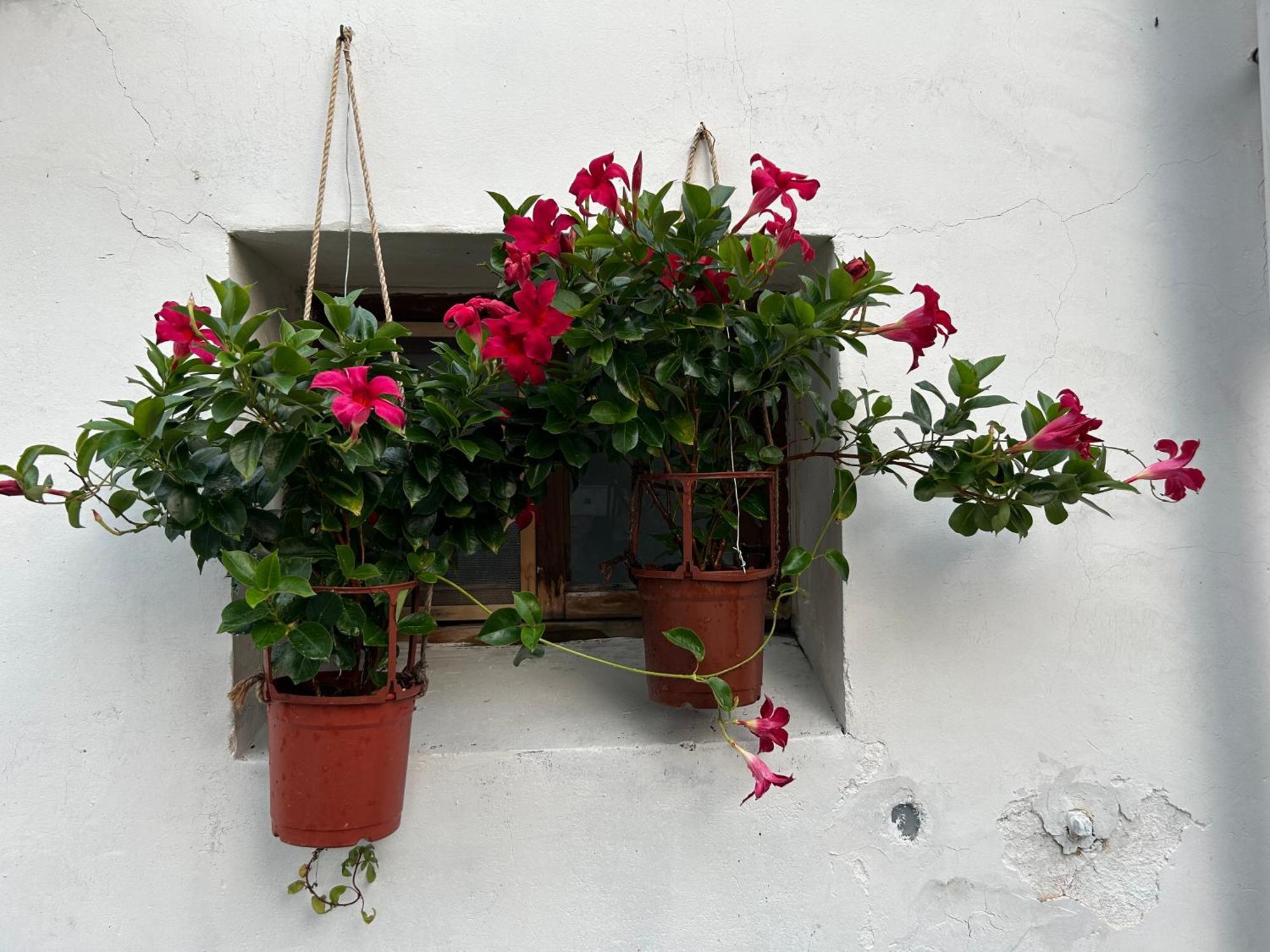 緩緩歸 Slow Living Tainan Exterior foto